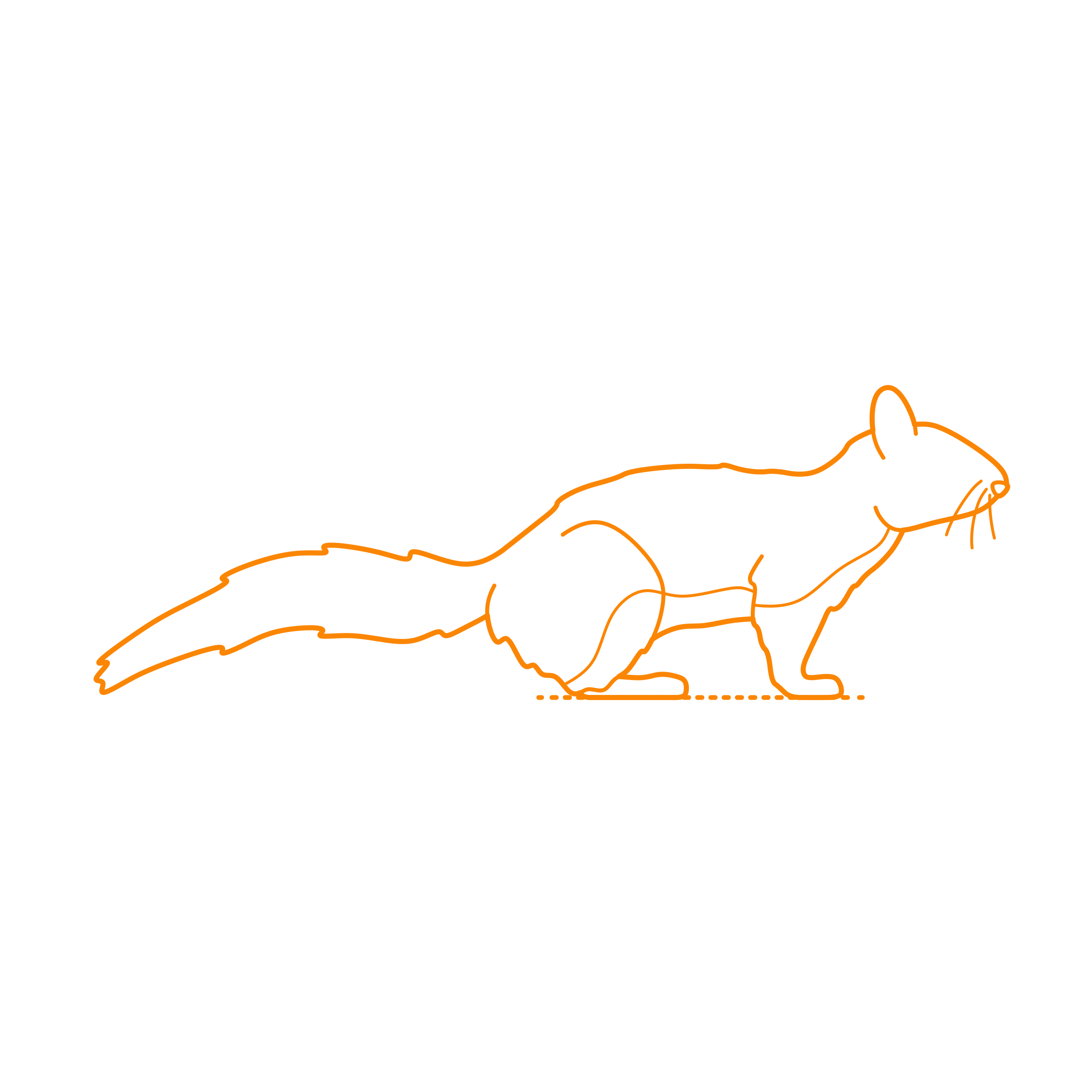 Animals Rodents California Ground Squirrel Outline Icon Svg Set Free Vectors